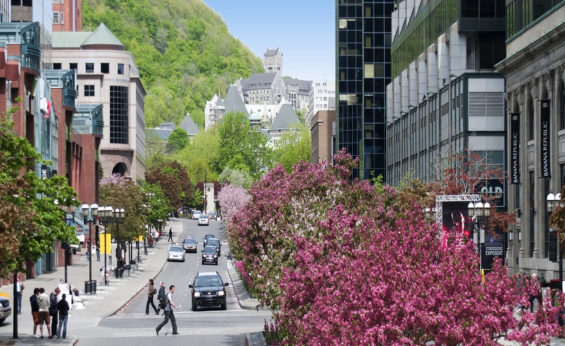 Montreal universities
